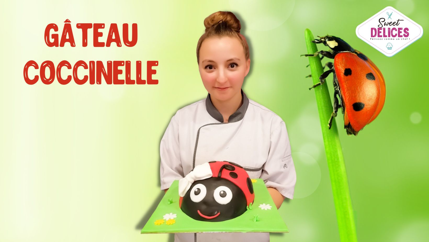 Mon Gâteau Coccinelle (Duo Parents/Enfants)